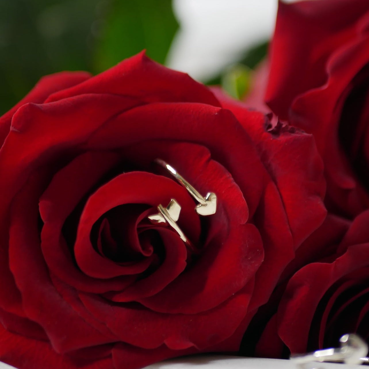 A gold heart arrow ring placed in the petals of a red rose.