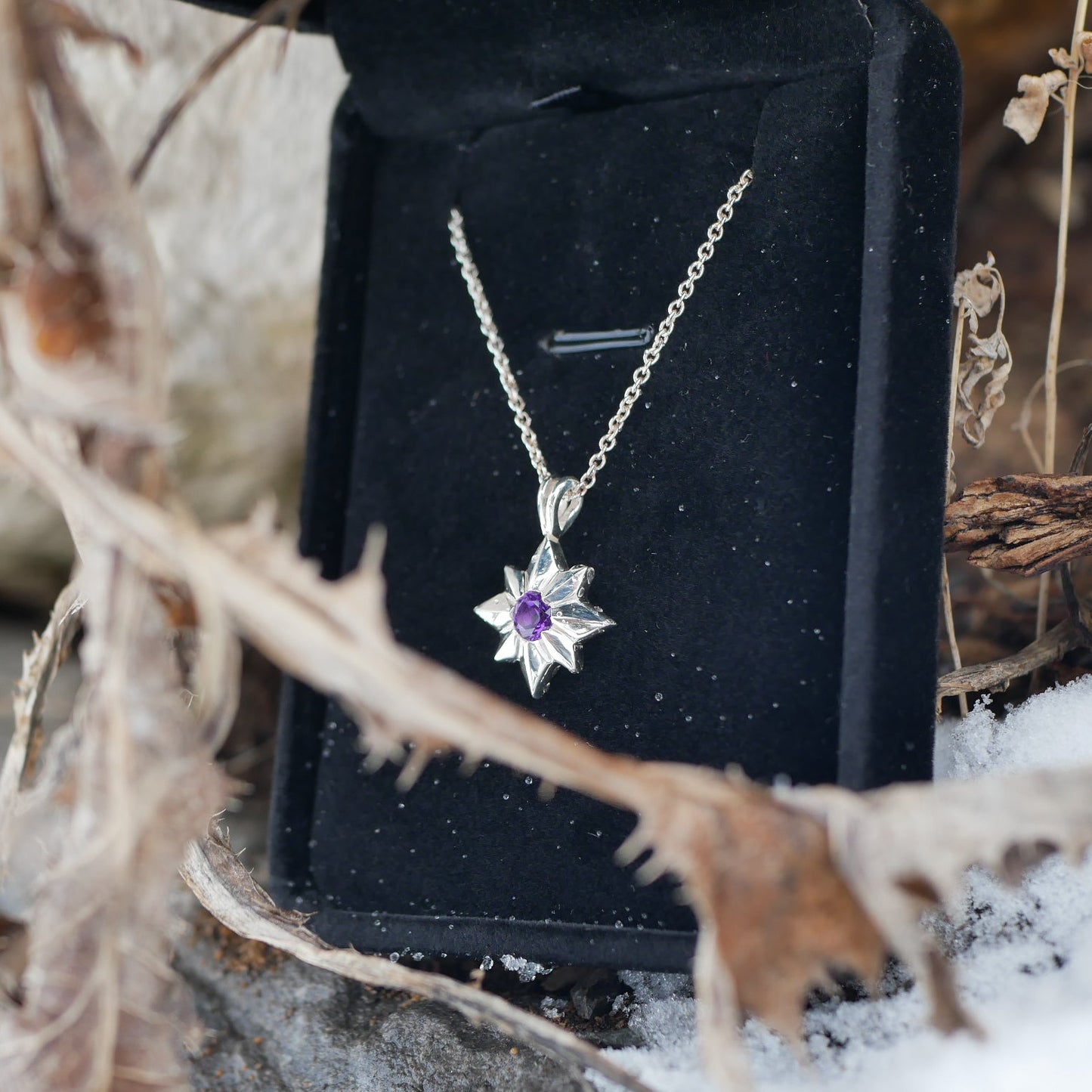 Star-shaped silver necklace with a purple gemstone in a black box, surrounded by natural elements.